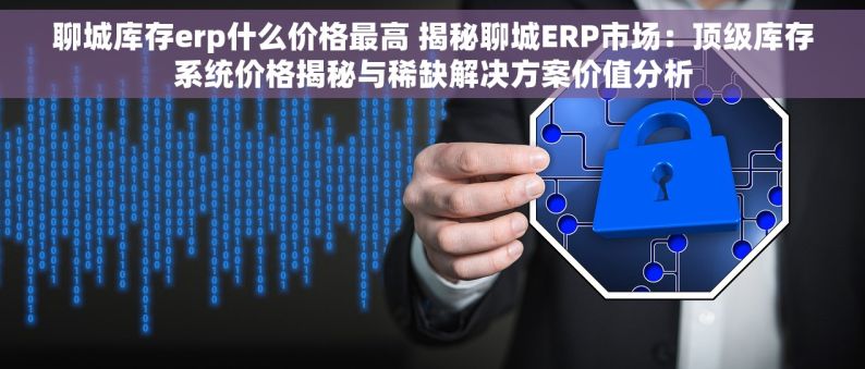 聊城库存erp什么价格最高 揭秘聊城ERP市场：顶级库存系统价格揭秘与稀缺解决方案价值分析