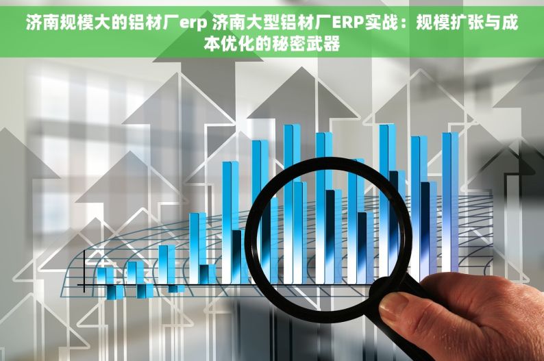 济南规模大的铝材厂erp 济南大型铝材厂ERP实战：规模扩张与成本优化的秘密武器