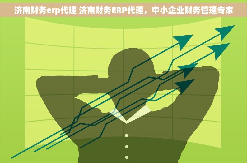 济南财务erp代理 济南财务ERP代理，中小企业财务管理专家