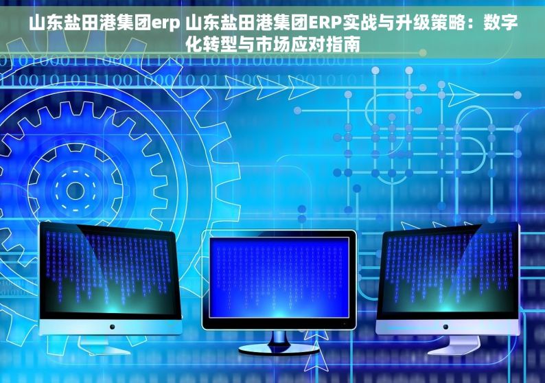 山东盐田港集团erp 山东盐田港集团ERP实战与升级策略：数字化转型与市场应对指南