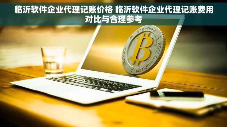 临沂软件企业代理记账价格 临沂软件企业代理记账费用对比与合理参考