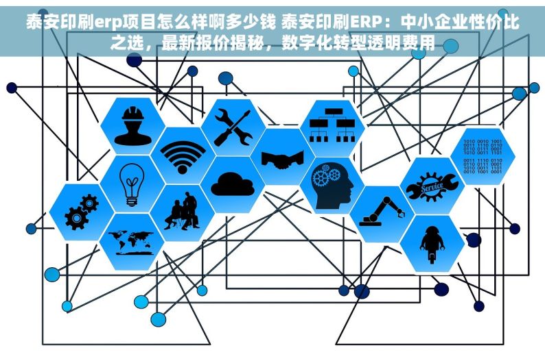 泰安印刷erp项目怎么样啊多少钱 泰安印刷ERP：中小企业性价比之选，最新报价揭秘，数字化转型透明费用