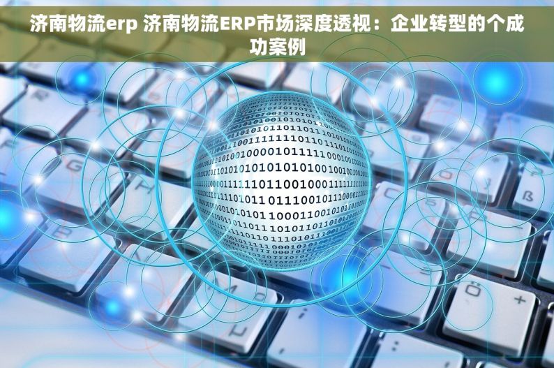 济南物流erp 济南物流ERP市场深度透视：企业转型的个成功案例