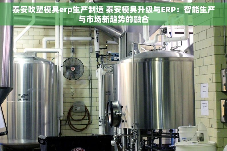 泰安吹塑模具erp生产制造 泰安模具升级与ERP：智能生产与市场新趋势的融合