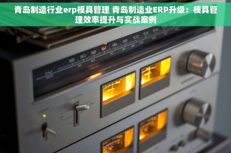 青岛制造行业erp模具管理 青岛制造业ERP升级：模具管理效率提升与实战案例