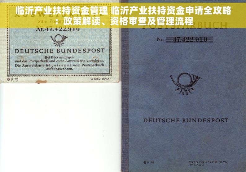 临沂产业扶持资金管理 临沂产业扶持资金申请全攻略：政策解读、资格审查及管理流程