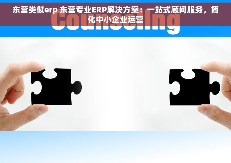 东营类似erp 东营专业ERP解决方案：一站式顾问服务，简化中小企业运营