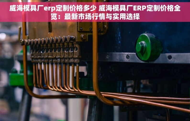 威海模具厂erp定制价格多少 威海模具厂ERP定制价格全览：最新市场行情与实用选择