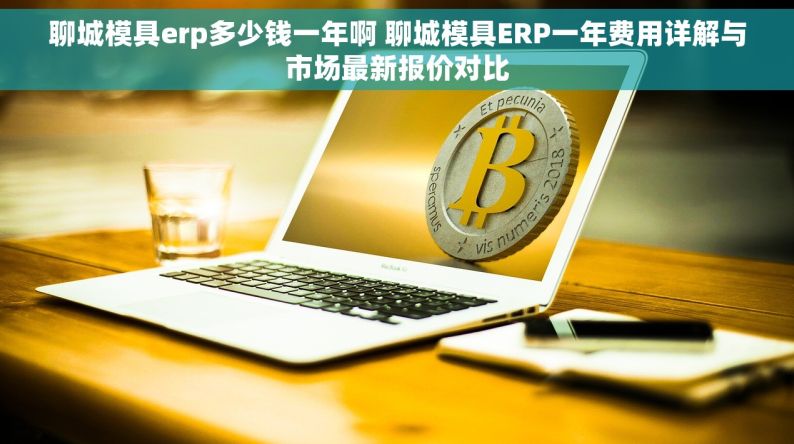 聊城模具erp多少钱一年啊 聊城模具ERP一年费用详解与市场最新报价对比