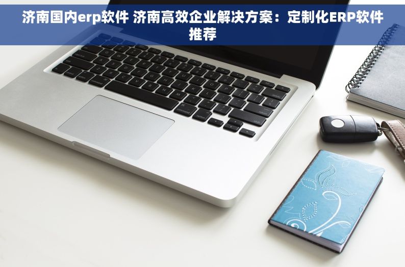 济南国内erp软件 济南高效企业解决方案：定制化ERP软件推荐