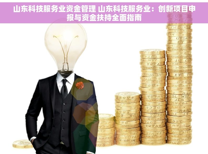 山东科技服务业资金管理 山东科技服务业：创新项目申报与资金扶持全面指南