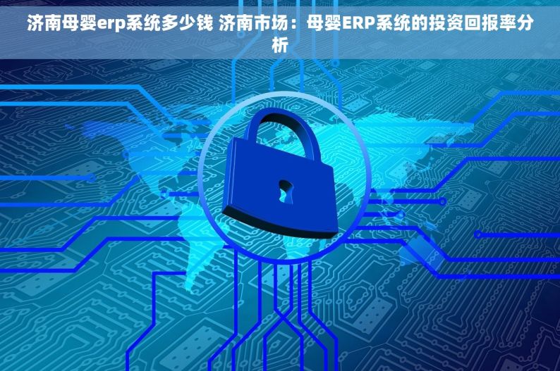 济南母婴erp系统多少钱 济南市场：母婴ERP系统的投资回报率分析