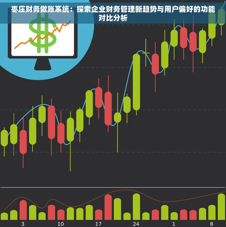 枣庄财务做账系统：探索企业财务管理新趋势与用户偏好的功能对比分析