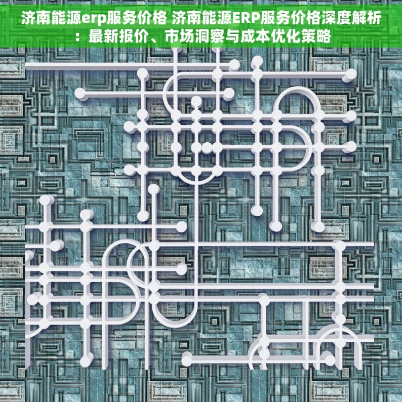 济南能源erp服务价格 济南能源ERP服务价格深度解析：最新报价、市场洞察与成本优化策略