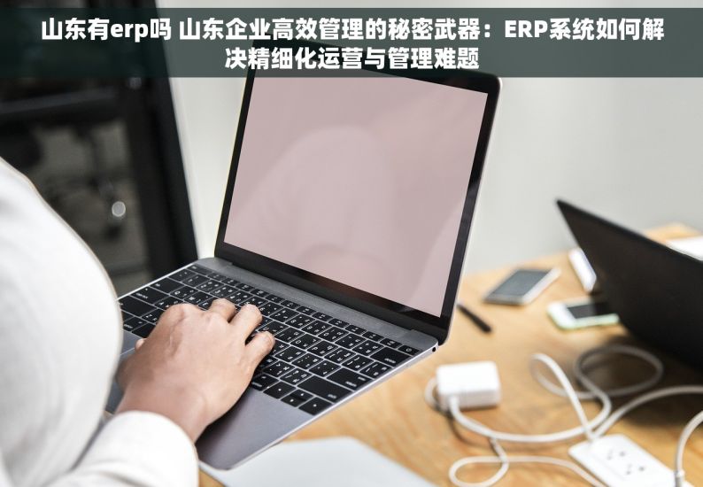 山东有erp吗 山东企业高效管理的秘密武器：ERP系统如何解决精细化运营与管理难题