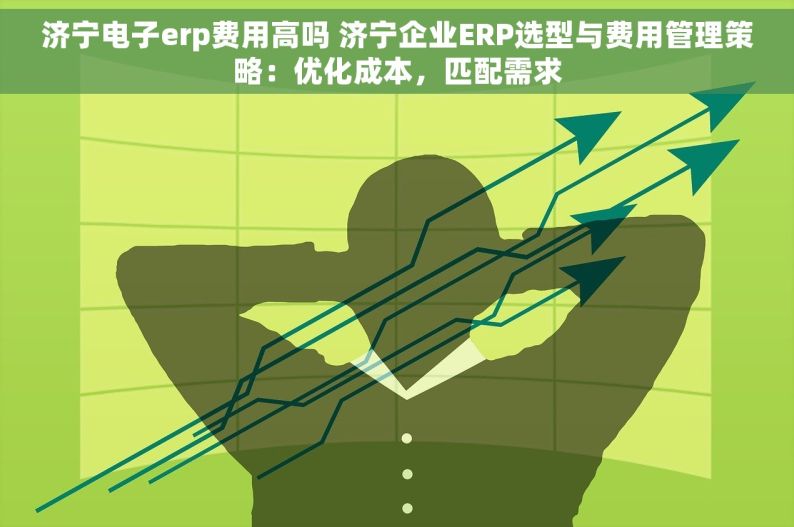 济宁电子erp费用高吗 济宁企业ERP选型与费用管理策略：优化成本，匹配需求