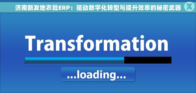 济南新发地农批ERP：驱动数字化转型与提升效率的秘密武器