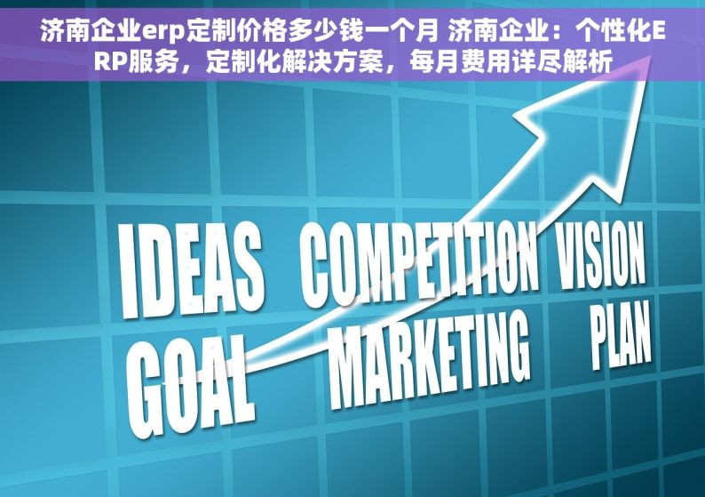 济南企业erp定制价格多少钱一个月 济南企业：个性化ERP服务，定制化解决方案，每月费用详尽解析