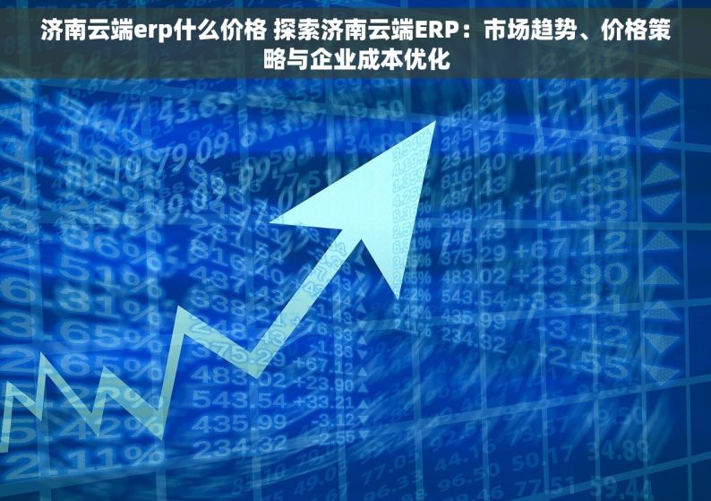 济南云端erp什么价格 探索济南云端ERP：市场趋势、价格策略与企业成本优化