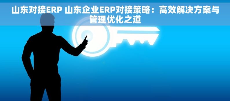 山东对接ERP 山东企业ERP对接策略：高效解决方案与管理优化之道