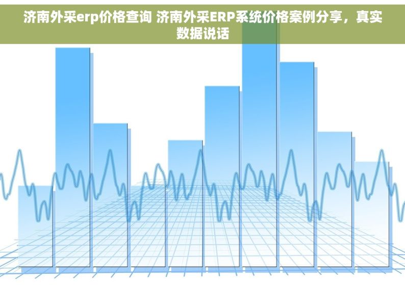 济南外采erp价格查询 济南外采ERP系统价格案例分享，真实数据说话