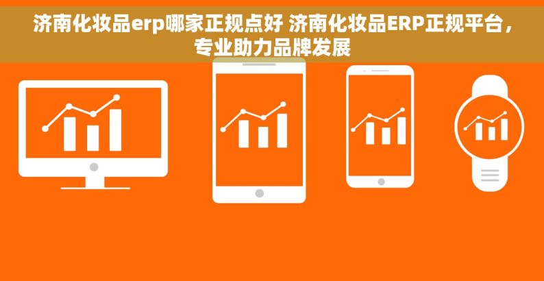 济南化妆品erp哪家正规点好 济南化妆品ERP正规平台，专业助力品牌发展