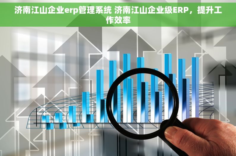 济南江山企业erp管理系统 济南江山企业级ERP，提升工作效率