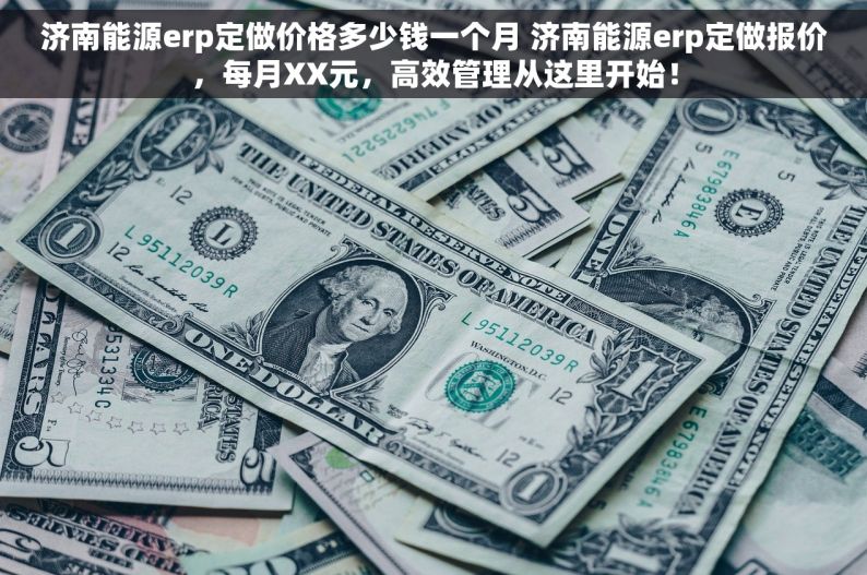 济南能源erp定做价格多少钱一个月 济南能源erp定做报价，每月XX元，高效管理从这里开始！