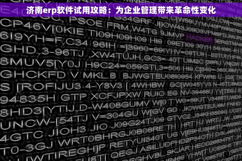 济南erp软件试用攻略：为企业管理带来革命性变化