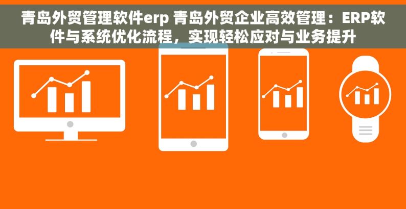 青岛外贸管理软件erp 青岛外贸企业高效管理：ERP软件与系统优化流程，实现轻松应对与业务提升