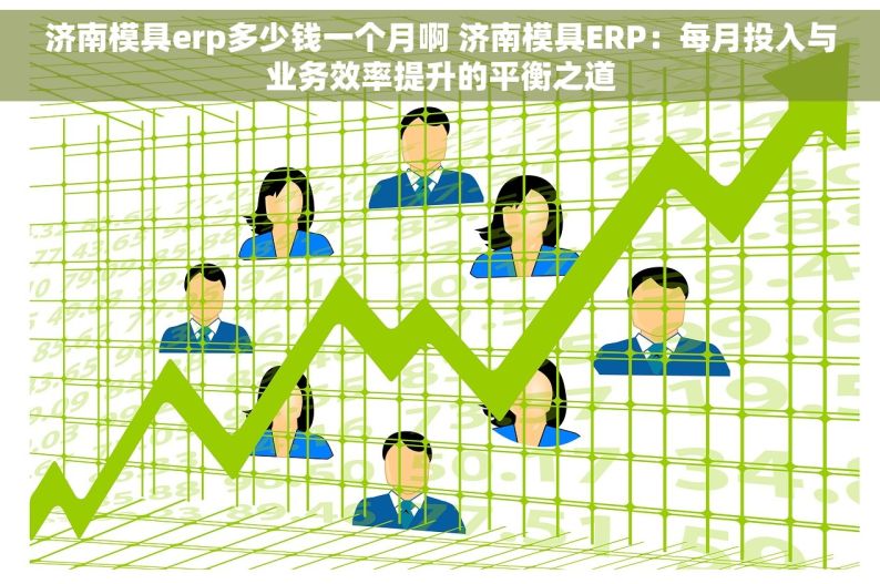 济南模具erp多少钱一个月啊 济南模具ERP：每月投入与业务效率提升的平衡之道