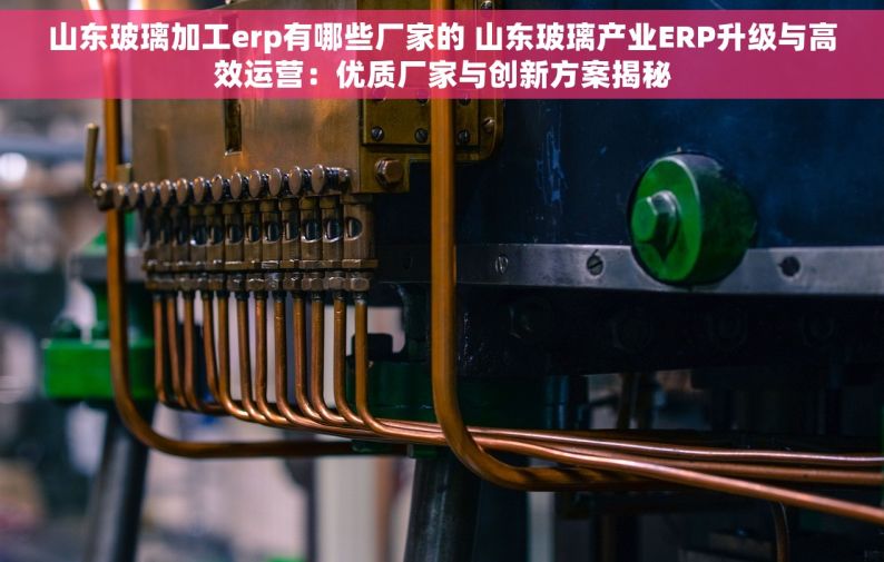 山东玻璃加工erp有哪些厂家的 山东玻璃产业ERP升级与高效运营：优质厂家与创新方案揭秘