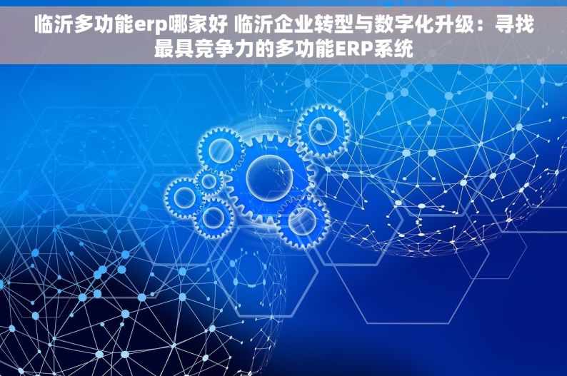 临沂多功能erp哪家好 临沂企业转型与数字化升级：寻找最具竞争力的多功能ERP系统