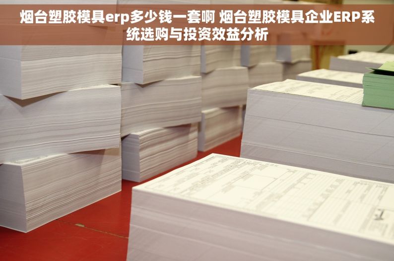 烟台塑胶模具erp多少钱一套啊 烟台塑胶模具企业ERP系统选购与投资效益分析