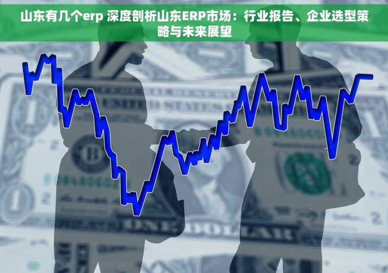 山东有几个erp 深度剖析山东ERP市场：行业报告、企业选型策略与未来展望