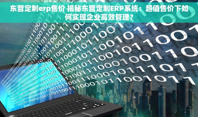 东营定制erp售价 揭秘东营定制ERP系统：超值售价下如何实现企业高效管理？