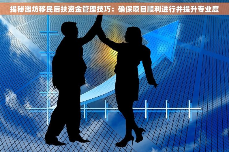 揭秘潍坊移民后扶资金管理技巧：确保项目顺利进行并提升专业度