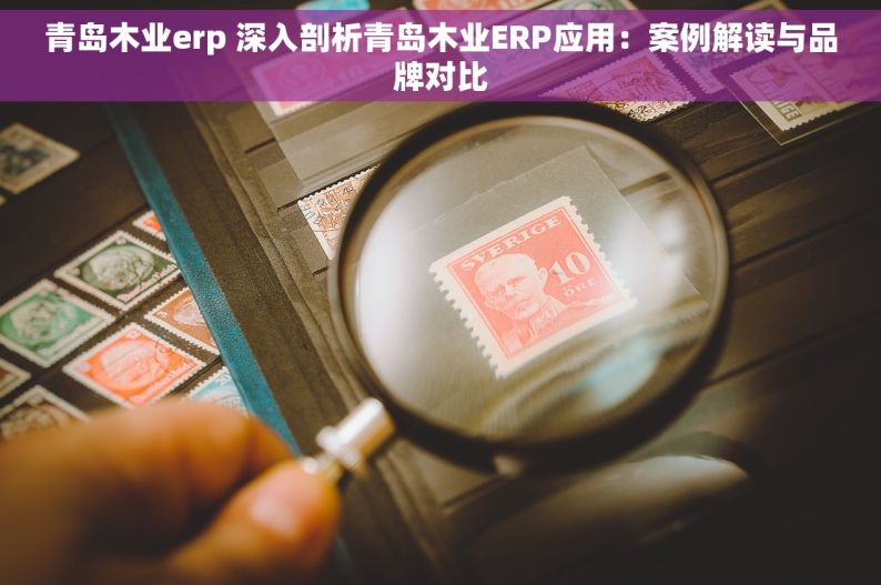 青岛木业erp 深入剖析青岛木业ERP应用：案例解读与品牌对比