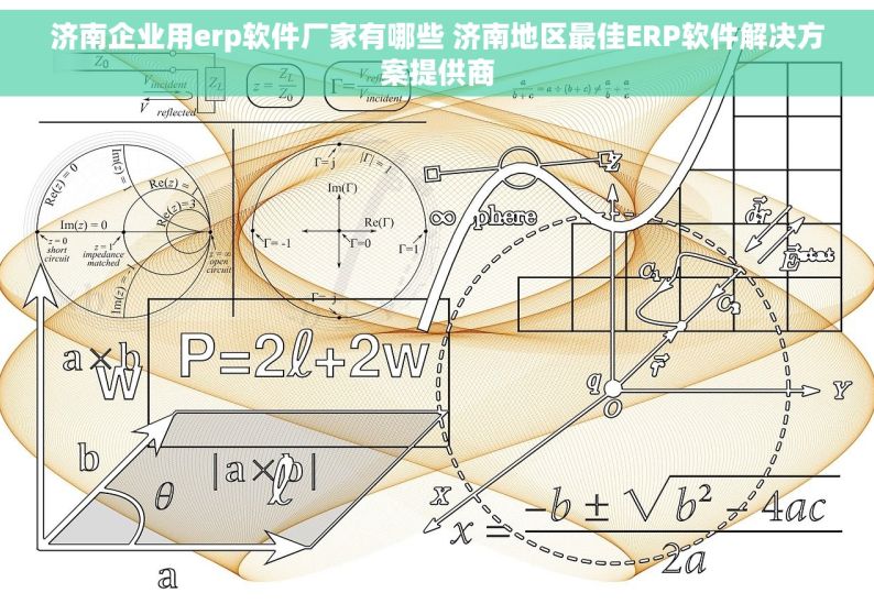 济南企业用erp软件厂家有哪些 济南地区最佳ERP软件解决方案提供商