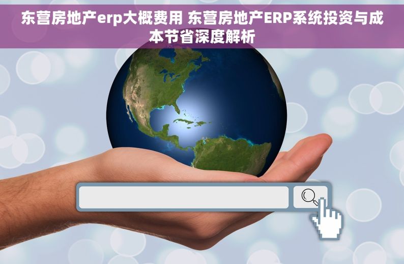 东营房地产erp大概费用 东营房地产ERP系统投资与成本节省深度解析