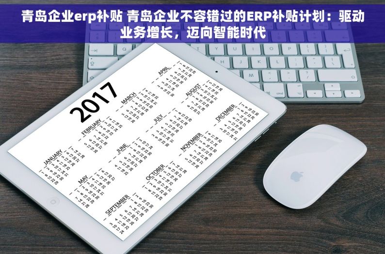 青岛企业erp补贴 青岛企业不容错过的ERP补贴计划：驱动业务增长，迈向智能时代