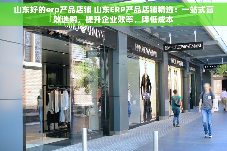 山东好的erp产品店铺 山东ERP产品店铺精选：一站式高效选购，提升企业效率，降低成本