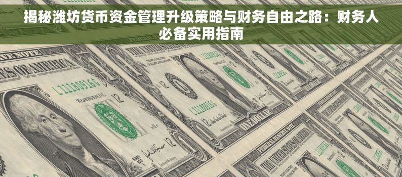 揭秘潍坊货币资金管理升级策略与财务自由之路：财务人必备实用指南