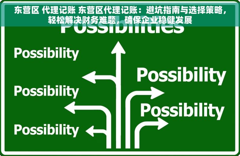 东营区 代理记账 东营区代理记账：避坑指南与选择策略，轻松解决财务难题，确保企业稳健发展