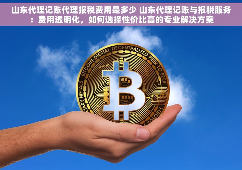 山东代理记账代理报税费用是多少 山东代理记账与报税服务：费用透明化，如何选择性价比高的专业解决方案