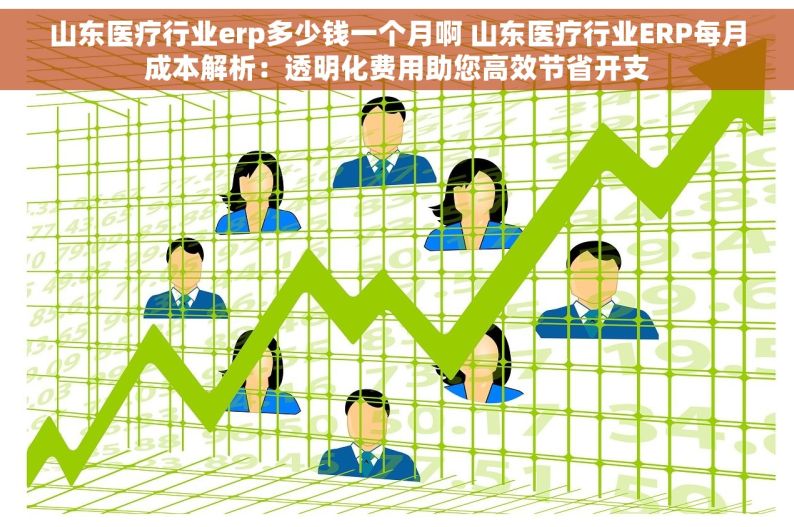 山东医疗行业erp多少钱一个月啊 山东医疗行业ERP每月成本解析：透明化费用助您高效节省开支