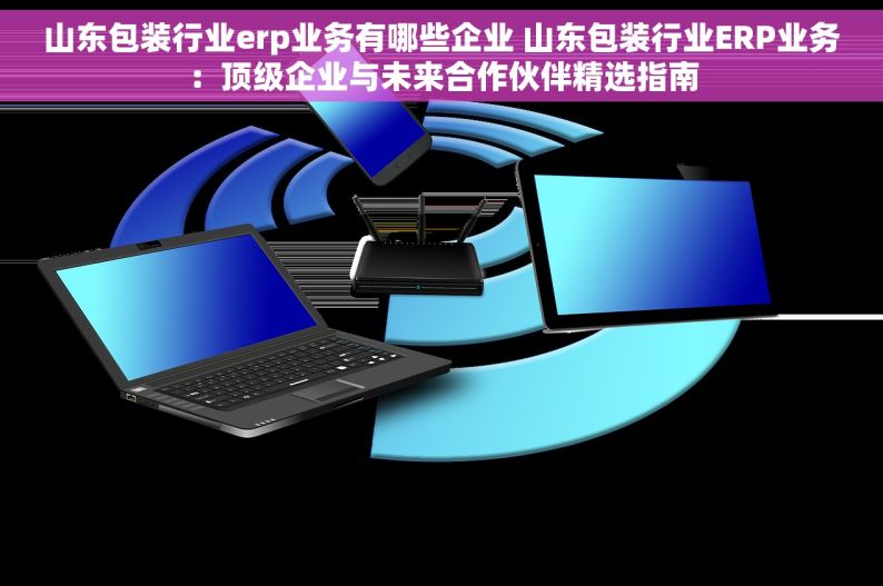 山东包装行业erp业务有哪些企业 山东包装行业ERP业务：顶级企业与未来合作伙伴精选指南