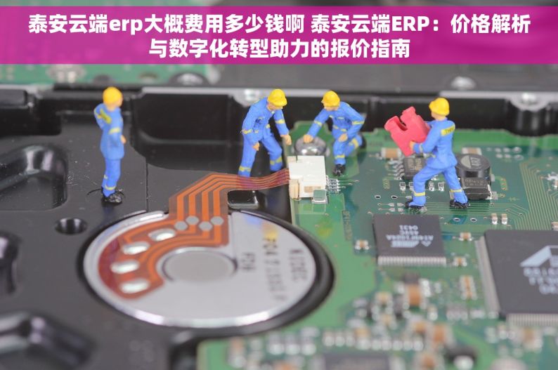 泰安云端erp大概费用多少钱啊 泰安云端ERP：价格解析与数字化转型助力的报价指南