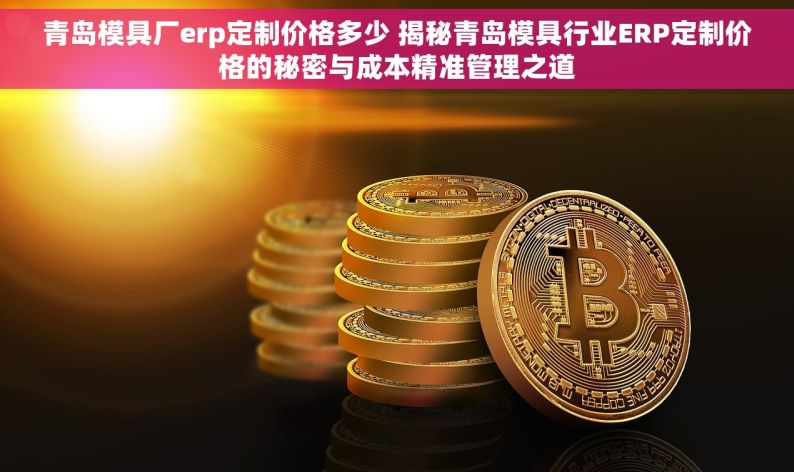 青岛模具厂erp定制价格多少 揭秘青岛模具行业ERP定制价格的秘密与成本精准管理之道