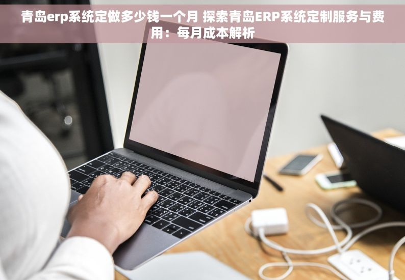 青岛erp系统定做多少钱一个月 探索青岛ERP系统定制服务与费用：每月成本解析